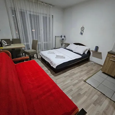 Suit 31 Belgrade