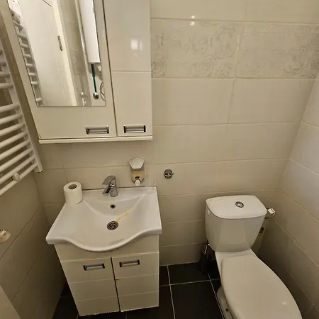 Suit 31 * Belgrade